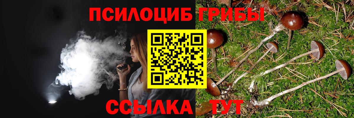 Галлюциногенные грибы Psilocybine cubensis  Галлюциногенные грибы Magic Shrooms  Вязьма  Вход с VPN 