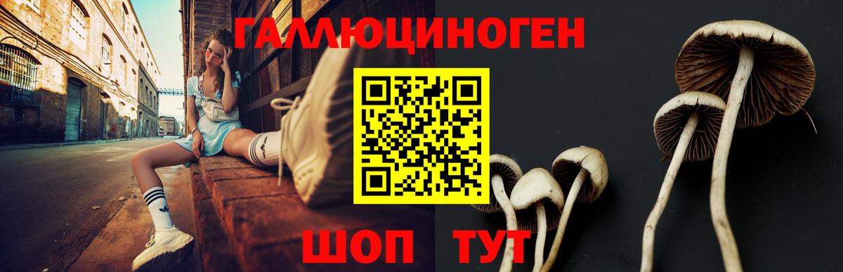 Псилоцибиновые грибы мухоморы Вязьма
