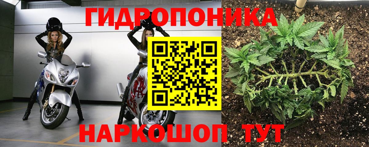 Шишки марихуана White Widow  МАРИХУАНА SATIVA & INDICA  Вязьма  Канабис THC 21%  Вход с VPN  Бошки Шишки LSD WEED 